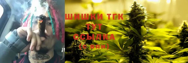 хмурый Заводоуковск