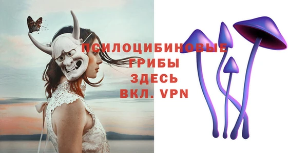 хмурый Заводоуковск