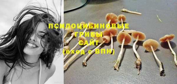 хмурый Заводоуковск