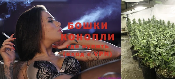 хмурый Заводоуковск