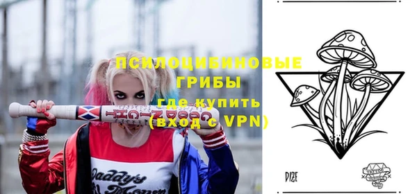 хмурый Заводоуковск