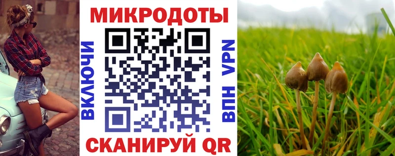 Галлюциногенные грибы Cubensis  Купить  Рубцовск 